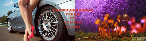 mix Абаза
