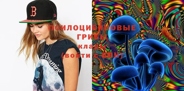 mdpv Алзамай